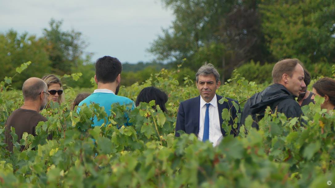 Visite des vignes de l'AOC Montlouis-sur-Loire